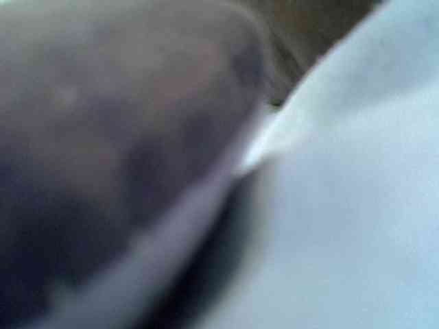 ladyflirt webcam