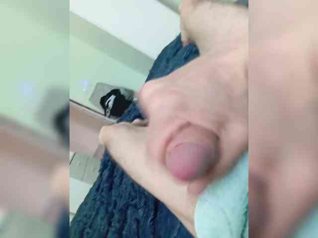 ARISTO005 Live Webcam on BongaCams