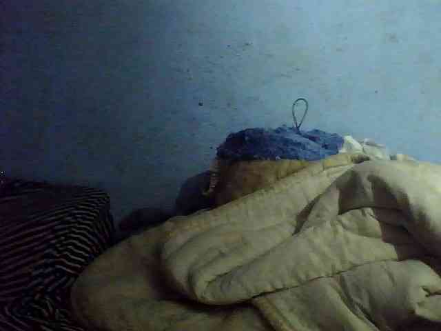 Kisshot2 webcam
