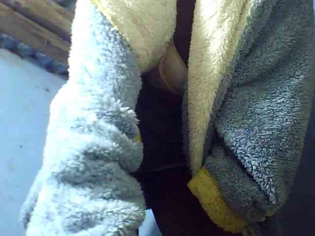 Kisshot2 webcam