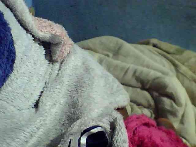 Kisshot2 webcam