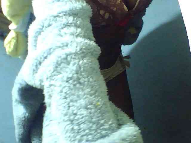 Kisshot2 webcam