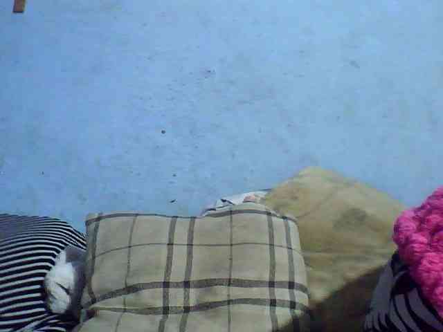 Kisshot2 webcam