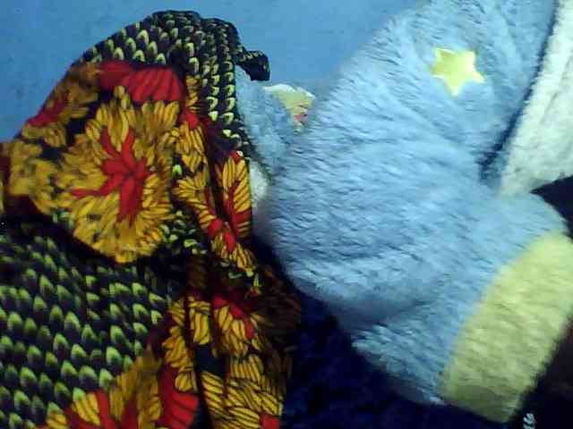 Kisshot2 webcam