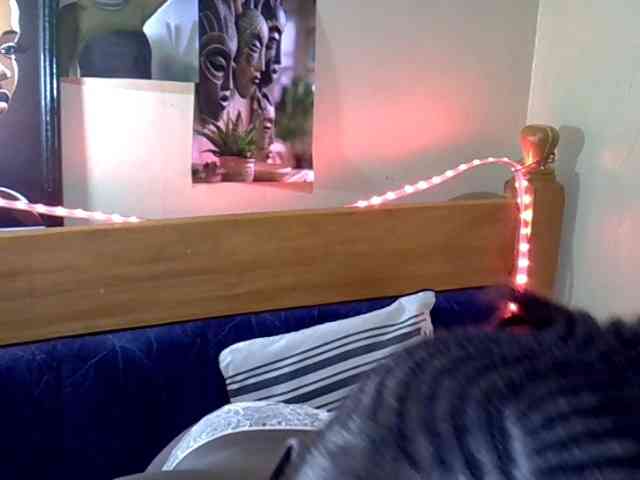 Leilalessie webcam