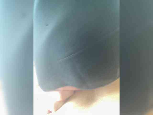 hiddenCrazySlut