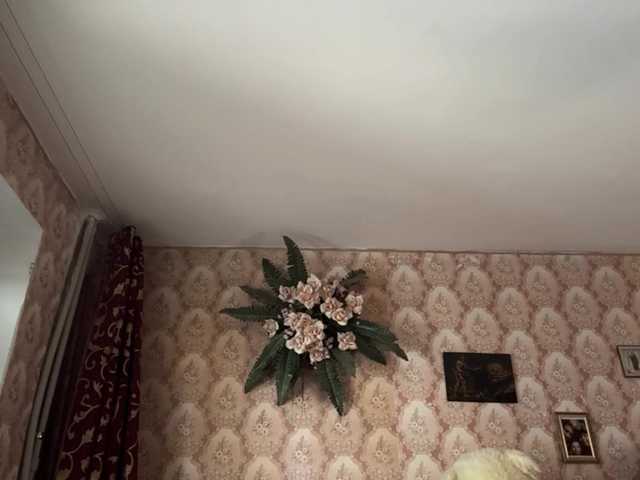 Preview of brigittemcchristian