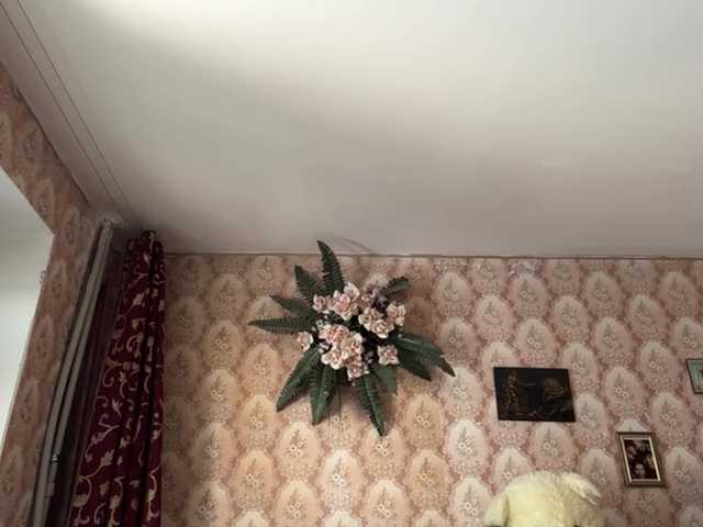 Preview of brigittemcchristian