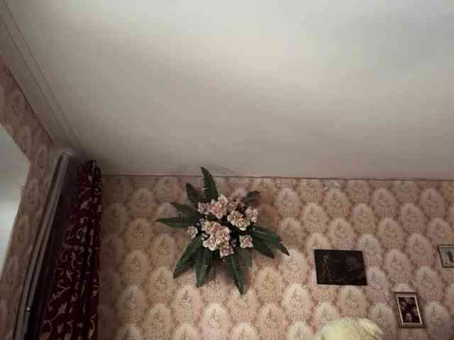 BrigitteMcchristian webcam