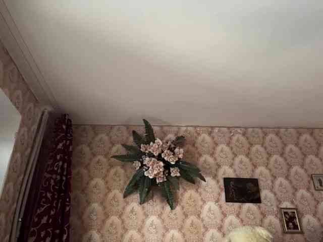 BrigitteMcchristian webcam