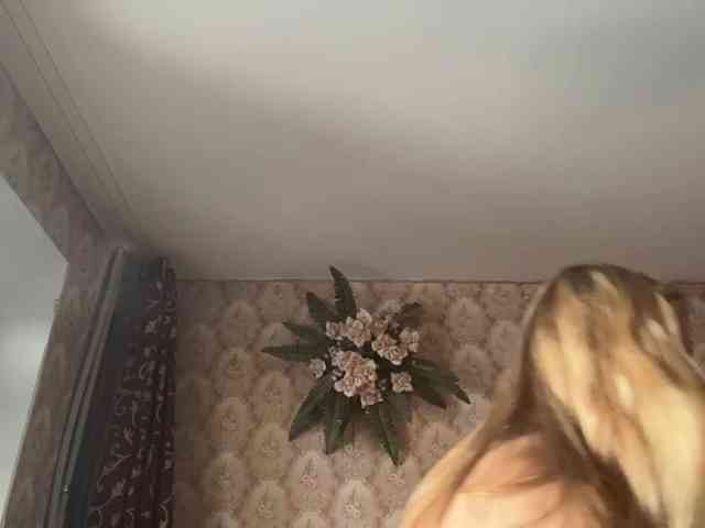 BrigitteMcchristian webcam