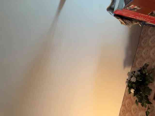 BrigitteMcchristian webcam