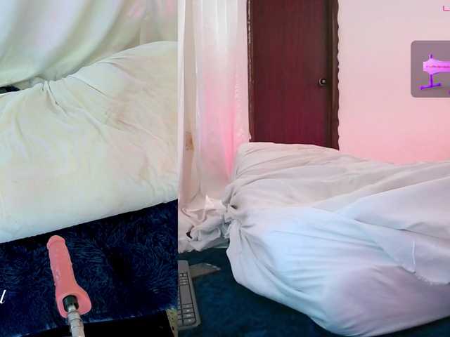 Sweetie-Cat