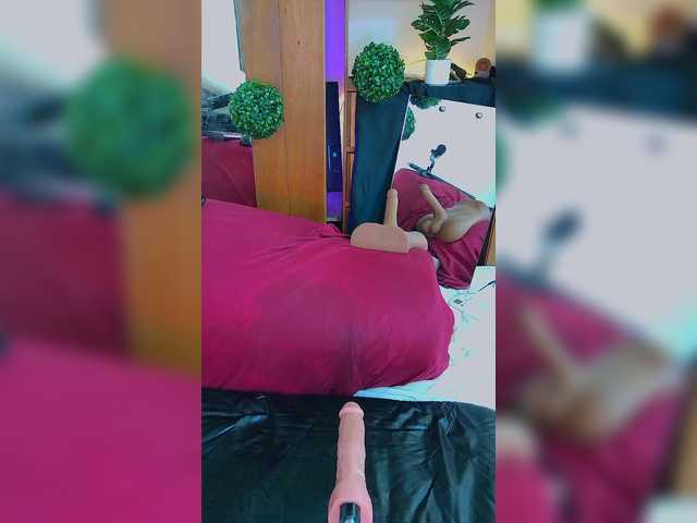 Sweetie-Cat live cam on BongaCams