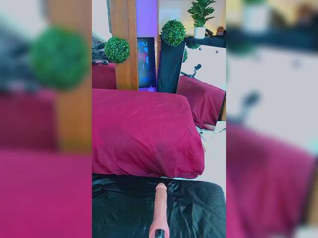 Sweetie-Cat live cam on BongaCams