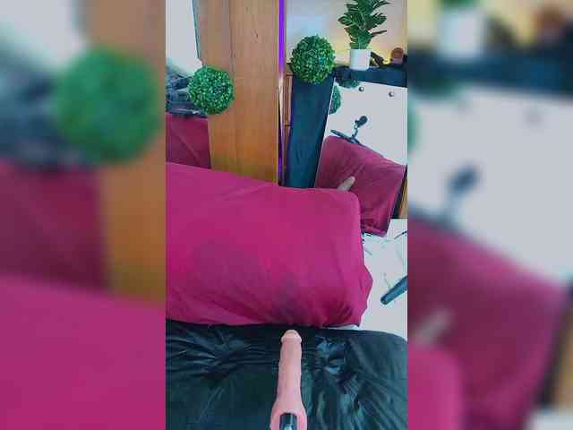Sweetie-Cat webcam