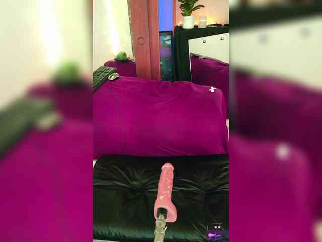 Sweetie-Cat webcam
