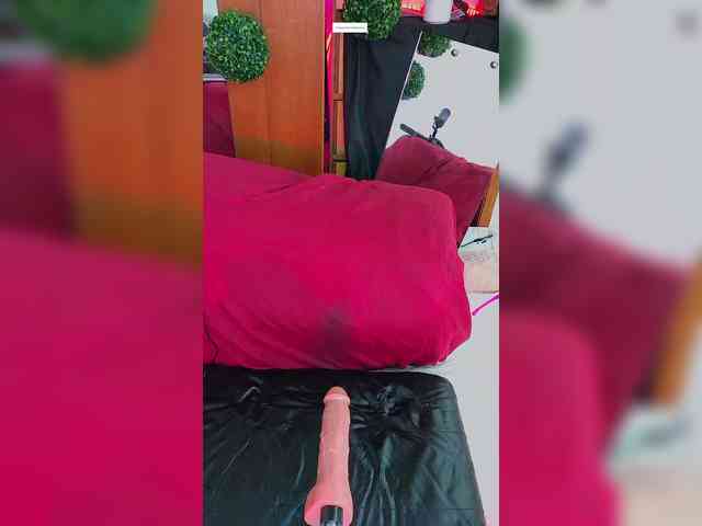 Sweetie-Cat webcam