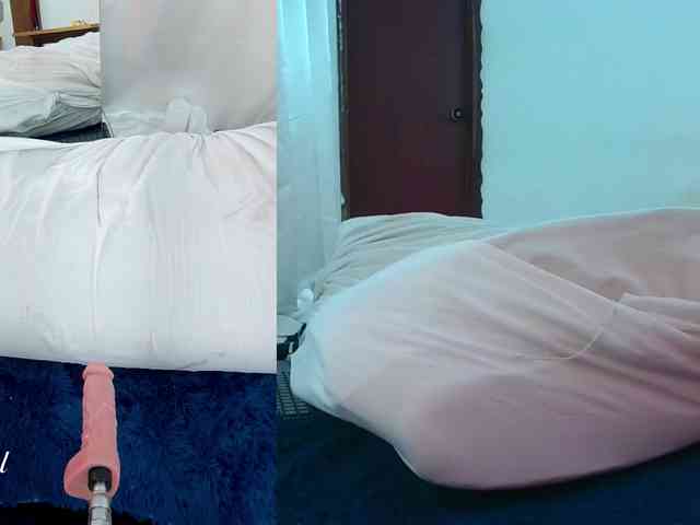 Sweetie-Cat webcam