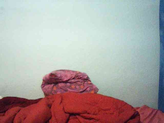 Charms webcam