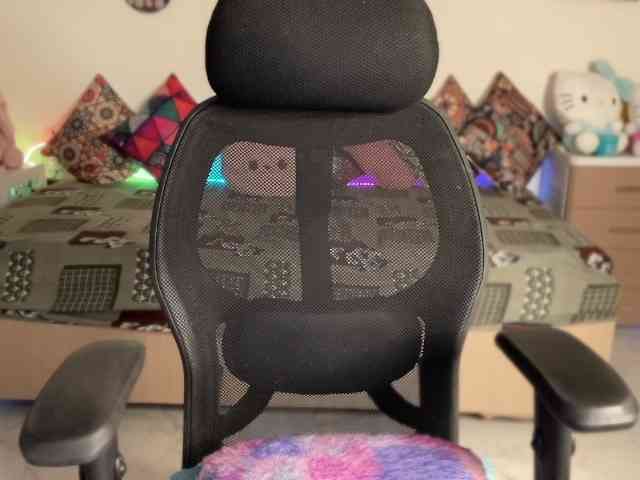 Jasmine6 webcam