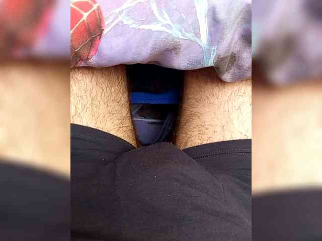 Sasa-1591