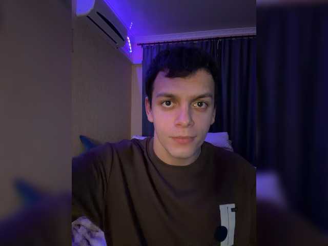 Vilamikki