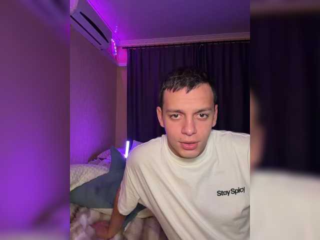 Vilamikki