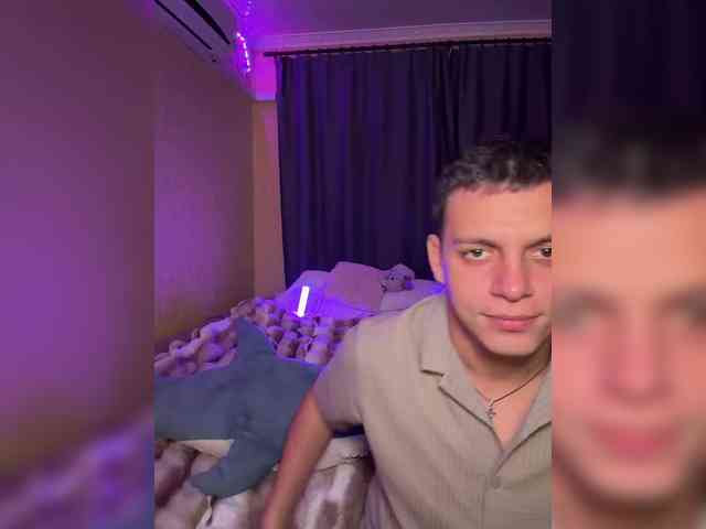 Vilamikki webcam