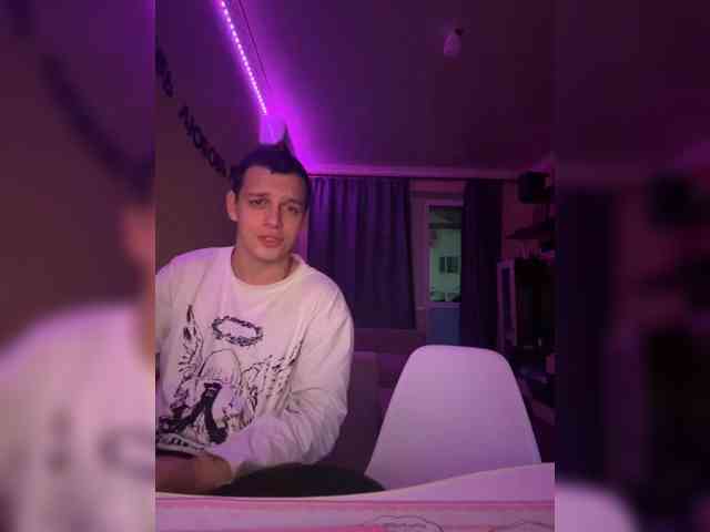Vilamikki webcam