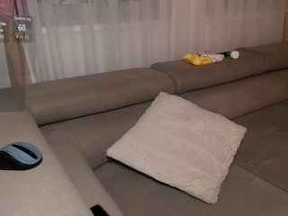 Brigii