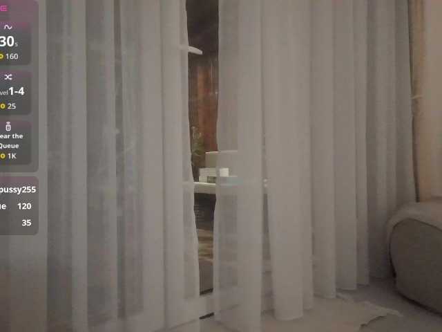 Brigii