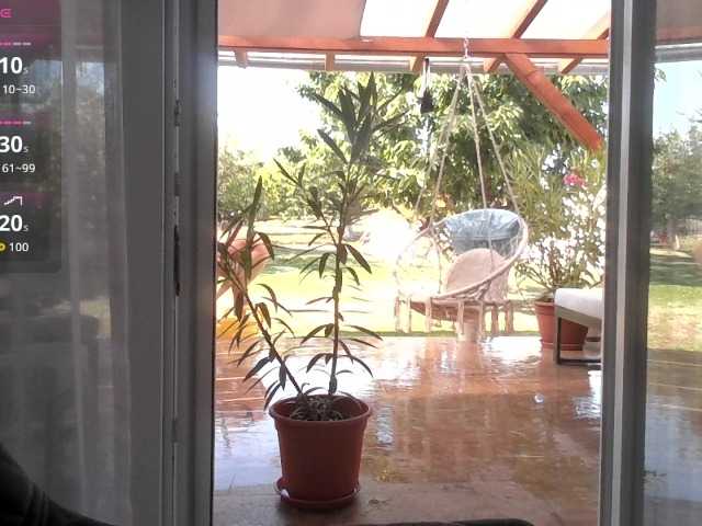Brigii