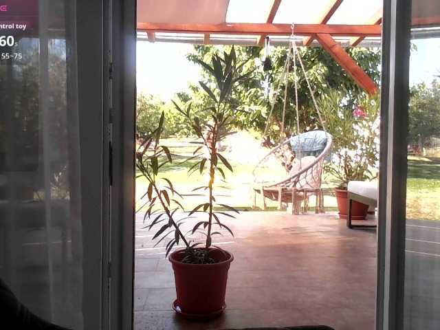 Brigii