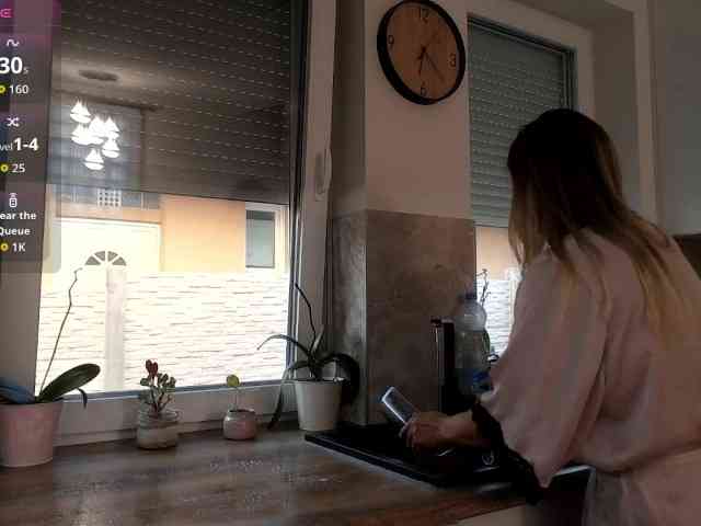 Brigii webcam