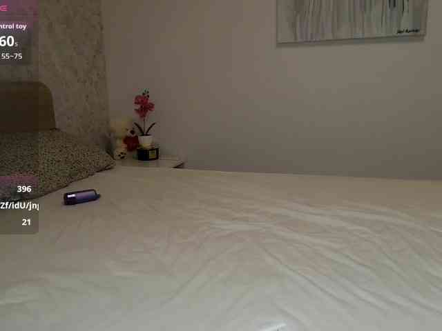 Brigii webcam