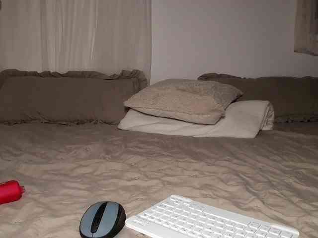Brigii webcam