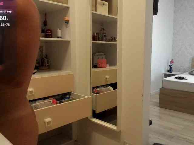 Brigii webcam
