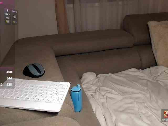 Brigii webcam