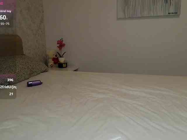 Brigii webcam