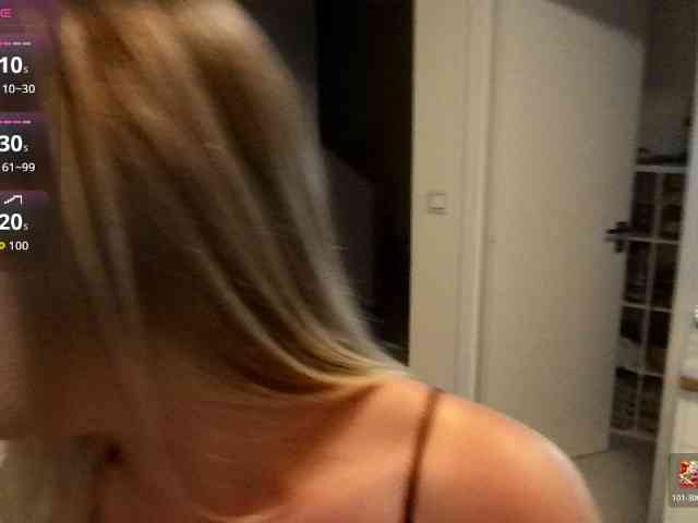 Brigii webcam