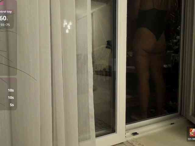Brigii webcam