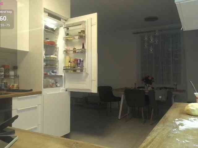Brigii webcam