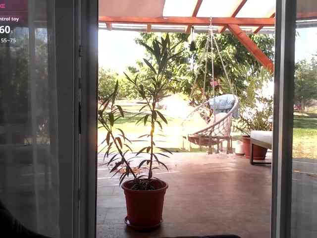 Brigii webcam