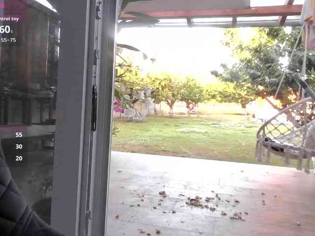 Brigii webcam