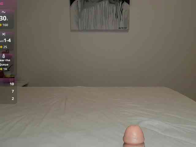 Brigii webcam