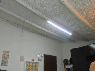 AngelinaStone65