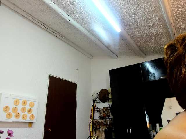 AngelinaStone65