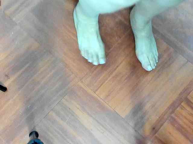 AngelinaStone65 webcam