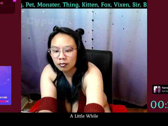 Cypurr webcam
